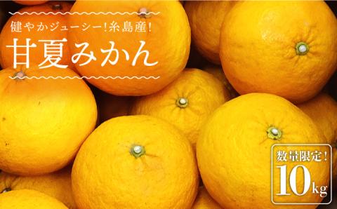 【先行予約】健やかジューシー・夏の味 糸島産甘夏みかんM～L玉・約10kg  【2026年4月より順次発送】  二丈赤米産直センター [ABB006]