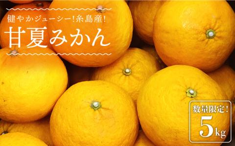 【先行予約】健やかジューシー・夏の味 糸島産甘夏みかんM～L玉・約5kg 【2026年4月より順次発送】二丈赤米産直センター [ABB007]