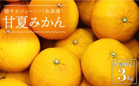 【先行予約】健やかジューシー・夏の味 糸島産甘夏みかんM～L玉・約3kg 【2026年4月より順次発送】 二丈赤米産直センター [ABB008]