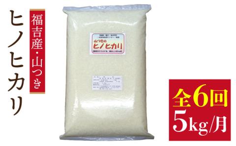 【 定期便 】福吉産 の お米 ＜6回コース＞ ヒノヒカリ 5kg  糸島市 / 二丈赤米産直センター [ABB013] 米 ひのひかり