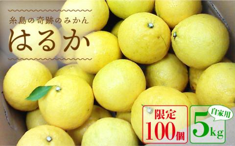 【先行予約】爽やか に甘い！ 糸島産 「 はるか 」  自家用 約 5kg 【2025年3月より順次発送】二丈赤米産直センター [ABB023]