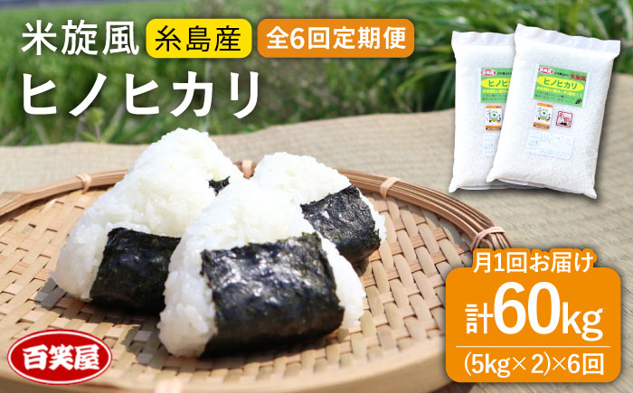 【 全6回 定期便 】米 旋風 ヒノヒカリ 10kg（ 5kg × 2 ）《百笑屋》 [ABF024]  米 お米 白米 精米 定期便 ひのひかり