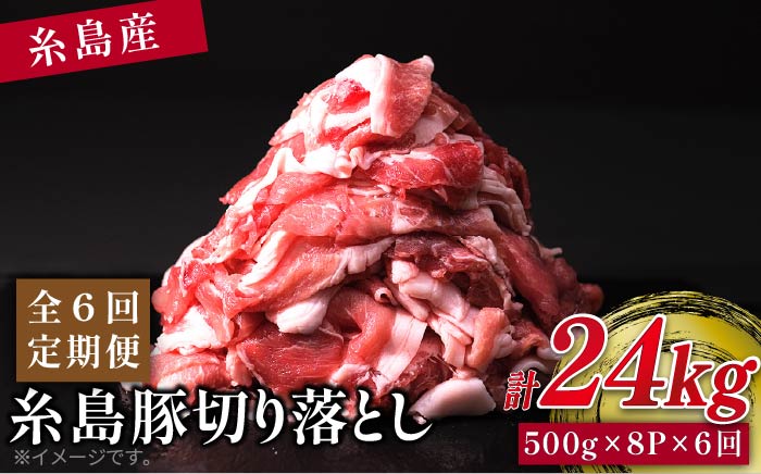 【全6回定期便】糸島豚切り落とし4kg（500g×8パック） 福岡県糸島市 幸栄物産 [ABH018]
