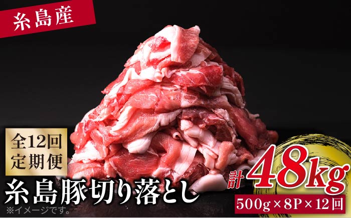 【全12回定期便】糸島豚切り落とし4kg（500g×8パック） 福岡県糸島市 幸栄物産 [ABH019]