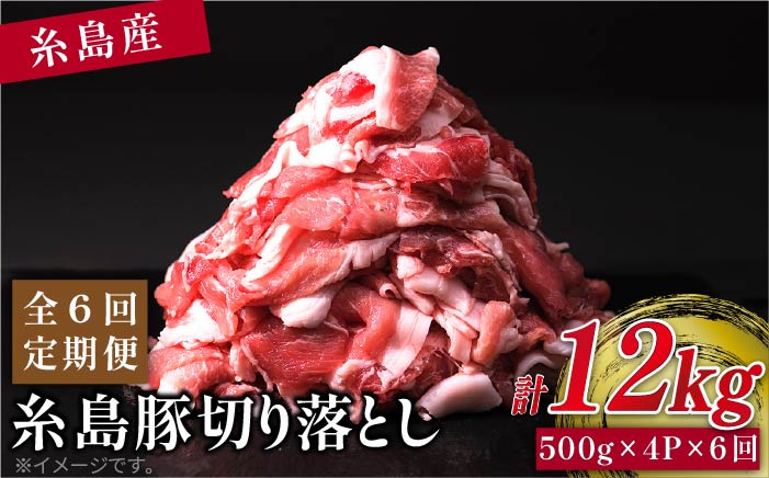 【全6回定期便】糸島豚切り落とし2kg（500g×4パック） 福岡県糸島市 幸栄物産 [ABH021]
