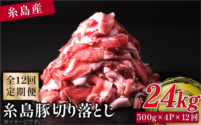 【全12回定期便】糸島豚切り落とし2kg（500g×4パック） 福岡県糸島市 幸栄物産 [ABH022]