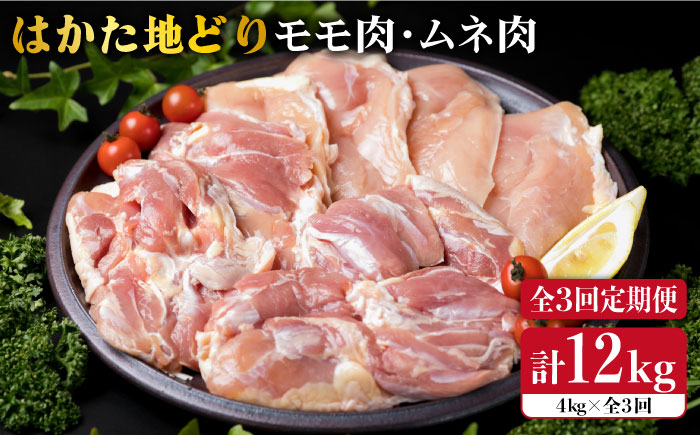 【全3回定期便】はかた地どり モモ肉 ムネ肉セット 4kg×3回《糸島》【糸島ミートデリ工房】 [ACA157]