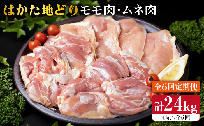 【全6回定期便】はかた地どり モモ肉 ムネ肉セット 4kg×6回《糸島》【糸島ミートデリ工房】 [ACA158]