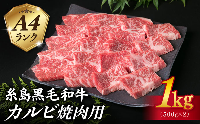【焼肉用】A4ランク 糸島黒毛和牛 カルビ 1kg（500g×2） 糸島市 / 糸島ミートデリ工房 [ACA378]