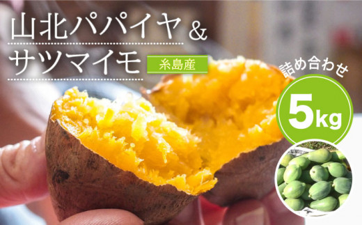 【2023年10月以降順次出荷】山北パパイヤと安納蜜芋の5kgセット 糸島市 / 山北農園 [ACH002]