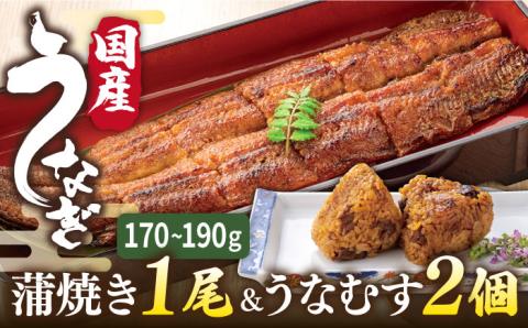 お中元対象】鰻 蒲焼き 1尾 ＆ うなむす 2個 セット 糸島市 北ノ屋うなぎ ウナギ おにぎり セット [ACL006]:  糸島市ANAのふるさと納税