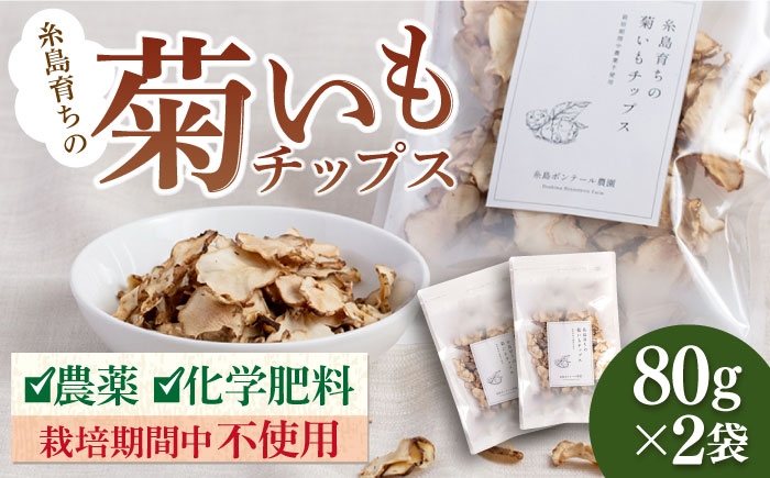 糸島 育ちの 菊いも チップス 80g×2袋 糸島市 / 糸島ボンテール農園 菊芋 スーパーフード [ACO005]