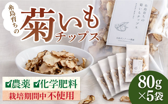 糸島 育ちの 菊いも チップス 80g×5袋 糸島市 / 糸島ボンテール農園 菊芋 スーパーフード [ACO006]