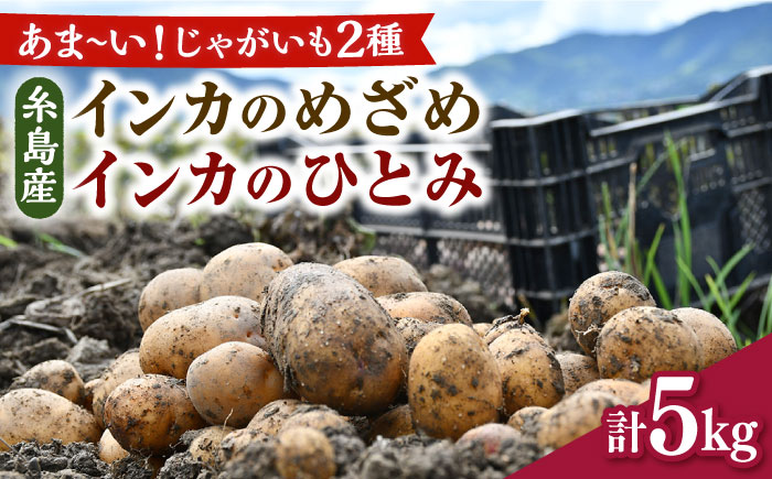 糸島育ちのジャガイモ 2種食べ比べ インカのめざめ/インカのひとみ 各2.5kg・計5kg  糸島市 / 糸島ボンテール農園 [ACO013]