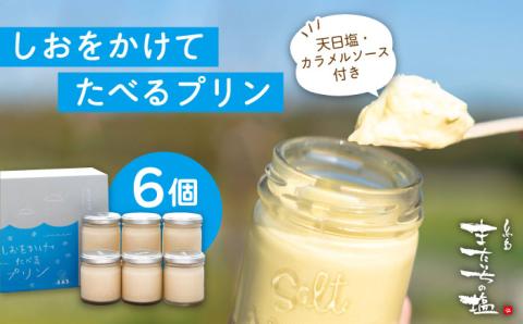 【お中元対象】しおが主役 しおをかけてたべるプリン 花塩プレーン6個セット またいちの塩 [AEB001]