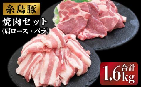 糸島豚の焼肉セット1.6kg（肩ロース800g/バラ800g）糸島市 / JA糸島産直市場 伊都菜彩 [AED004]