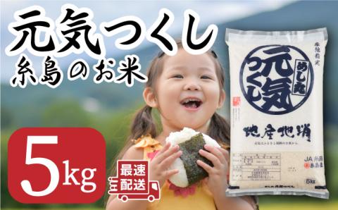 糸島のお米 元気つくし 5kg 糸島市 / JA糸島産直市場 伊都菜彩 [AED015]