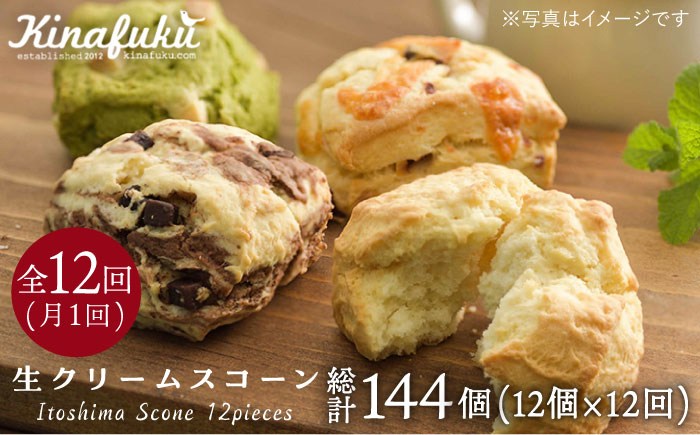 【全12回定期便（月1回）】スコーンのイメージ変えてみませんか？定番スコーン12個セット≪糸島≫【キナフク】 [AFA003]
