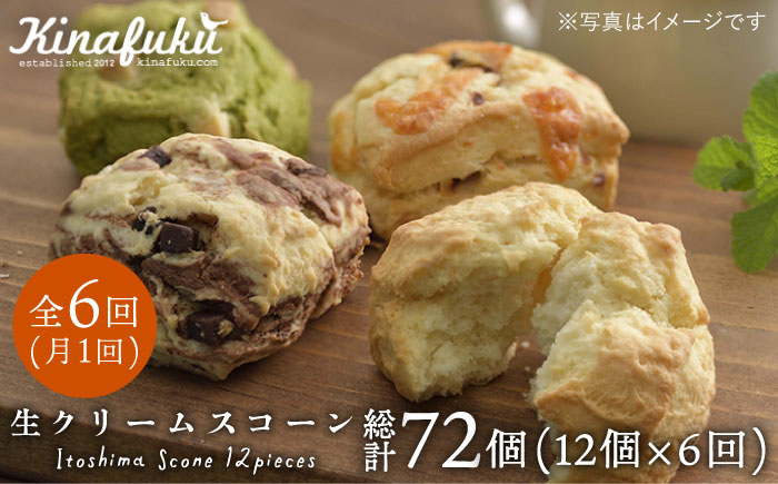 【全6回定期便】スコーンのイメージ変えてみませんか？定番スコーン12個セット 《糸島》【キナフク】 [AFA014]
