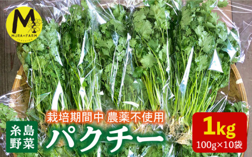 糸島産 パクチー 1kg （100g×10袋） 糸島市 / MURA FARM [AFD002]