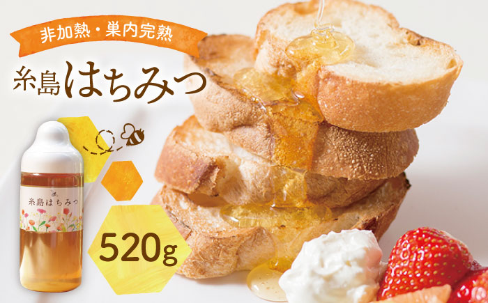 糸島 はちみつ 520g 糸島市 / ヴァンベールフーズ [AFJ002]