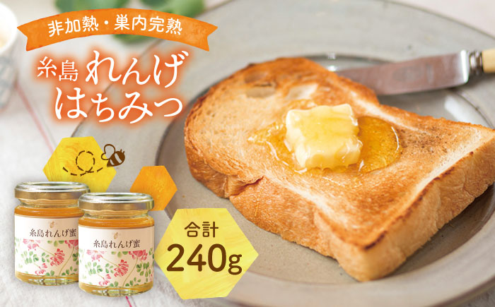 糸島 れんげはちみつ 120g×2　糸島市 / ヴァンベールフーズ [AFJ003]