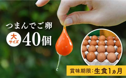 プリップリな卵黄！つまんでご卵 40個セット たまご/卵/鶏卵/玉子/平飼い卵/卵かけご飯/たまごかけご飯 [AGA011]