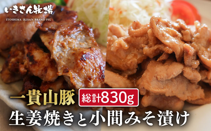焼くだけかんたん！ 一貴山豚 生姜焼き 1個 小間 みそ漬け 2個 糸島市 / いきさん牧場 [AGB005]