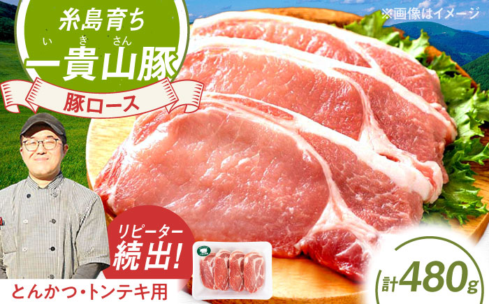 一貴山豚 ロースとんかつ・トンテキ用 計480g(120g×4枚) 糸島市 / いきさん牧場 豚肉 冷凍 [AGB030] 冷凍