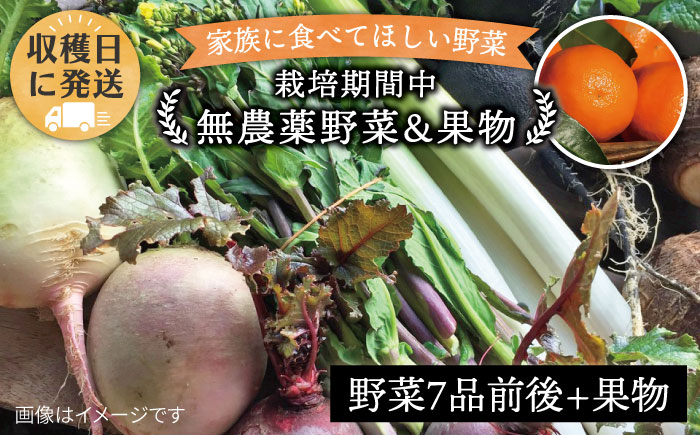 朝採れ！ 栽培期間中無農薬野菜 （ 7品 前後 ） セット ＋ 果物  《糸島》【オーガニックナガミツファーム】 	[AGE004]
