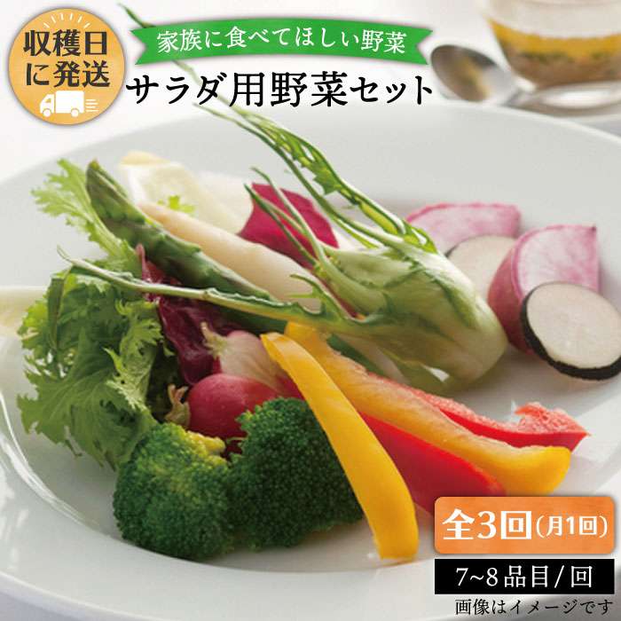 【 全3回 定期便 】【 福岡県 糸島産 】 朝採れ サラダ用 野菜 セット 《糸島》【オーガニックナガミツファーム】 	[AGE005]