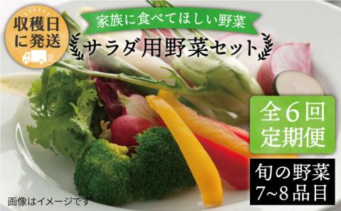 【 全6回 定期便 】 【 福岡県 糸島産 】 サラダ用 野菜 セット 《糸島》 【オーガニックナガミツファーム】 	[AGE008]