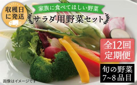 【 全12回 定期便 】 【 福岡県 糸島産 】 朝採れ サラダ用 野菜 セット 《糸島》【オーガニックナガミツファーム】 	[AGE011]