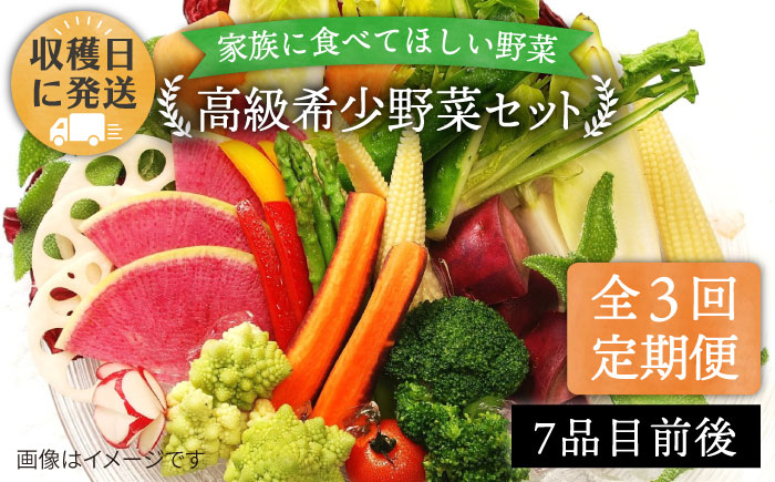 【 全3回 定期便 】【 農薬・化学肥料 不使用 】こだわり 高級希少野菜 セット （ 7品前後 ） 《糸島》【オーガニックナガミツファーム】 	[AGE016]