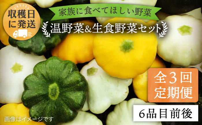 【 全3回 定期便 】 朝採れ 温野菜＆生食野菜セット （ 6品 前後 ） 《糸島》【オーガニックナガミツファーム】 	[AGE019]