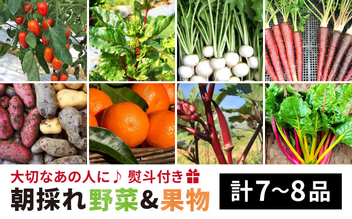 【贈答用】無農薬野菜セット＋果物（8品前後）《糸島》【オーガニックナガミツファーム】 	[AGE022]