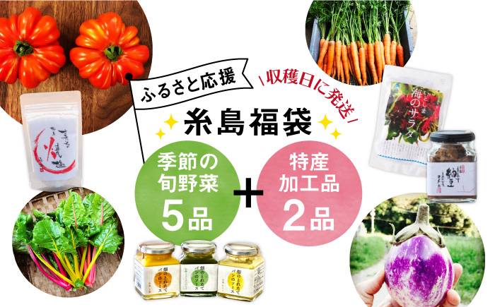 【 糸島 の 福袋 ！ 】朝採り オーガニック 旬 野菜 お任せ 5品 ＋ 糸島産 大ヒット 特産 加工品 2品 のセット《糸島》【オーガニックナガミツファーム】 	[AGE028]