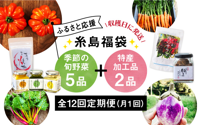 【 全12回 定期便 】 朝採り オーガニック 旬 野菜 お任せ 5品 ＋ 糸島産 大ヒット 特産 加工品 2品 のセット《糸島》【オーガニックナガミツファーム】 	[AGE032]