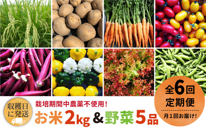【全6回定期便】【☆畑直送☆栽培期間中農薬不使用！】お 米 2kg & 野菜 5品 の セット 糸島市 / オーガニックナガミツファーム 	[AGE037]