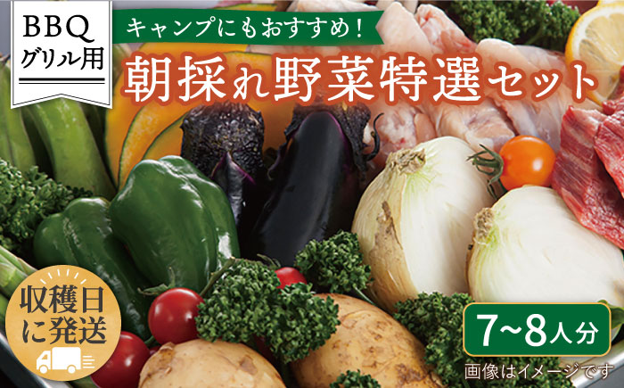☆キャンプにもおすすめ☆バーベキュー・グリル用朝採れ野菜特選セット【福岡県糸島産】(7～8人分) 糸島市 / オーガニックナガミツファーム 野菜 詰め合わせ         [AGE039]