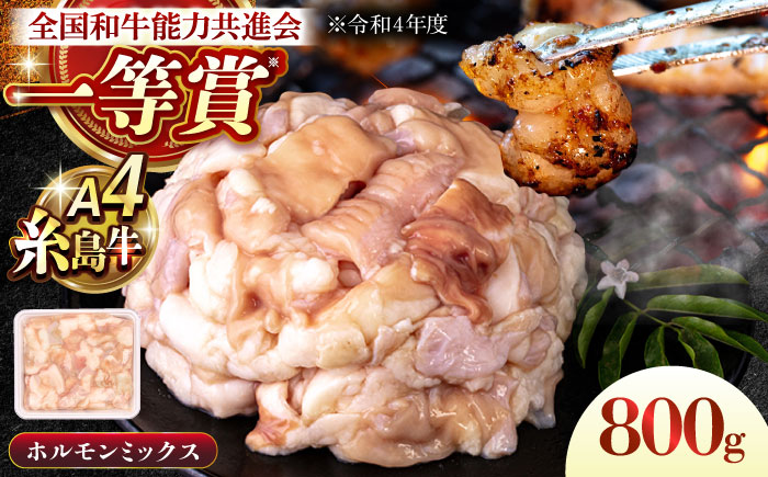 A4ランク 和牛 ホルモンミックス 800g もつ鍋 ホルモン焼き 糸島牛 糸島市 / 一番田舎 [AGN008]