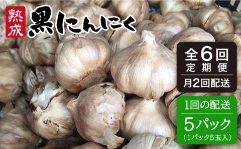 【全6回(月2回)定期便】 熟成黒にんにく25玉（1パック5玉×5パック）×6回配送（月2回×3か月間） 糸島市 / シーブ [AHC004]