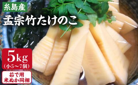 【先行予約受付中】産地直送「孟宗竹」5kg たけのこ タケノコ 筍 【2025年3月下旬以降順次発送】 糸島市 / シーブ [AHC026]