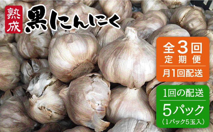【全3回定期便】熟成 黒にんにく 25玉（1パック5玉×5パック）糸島市 / シーブ [AHC038]