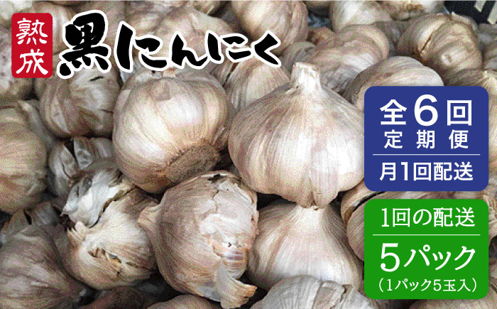 【全6回定期便】熟成 黒にんにく 25玉（1パック5玉×5パック）糸島市 / シーブ [AHC039]