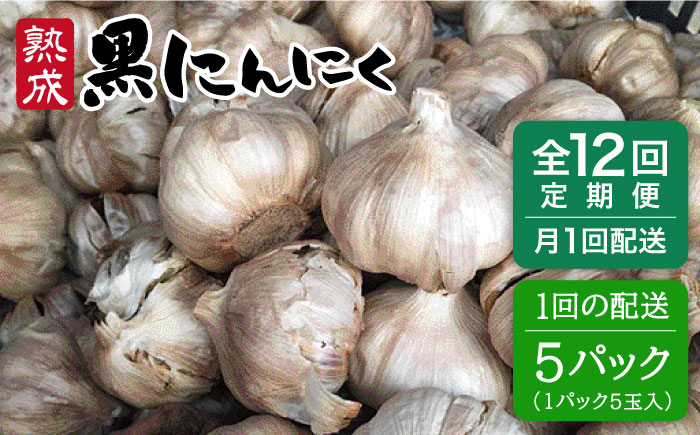 【全12回定期便】熟成 黒にんにく 25玉（1パック5玉×5パック）糸島市 / シーブ [AHC040]