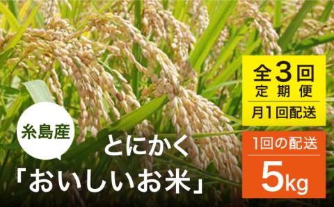 【全3回(月1)定期便】 とにかくおいしいお米 ひのひかり または にこまる 5kg 糸島市/シーブ [AHC047]