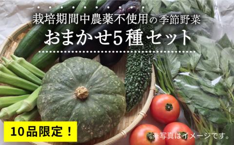 【10品限定！】栽培期間中農薬未使用 の 季節野菜 おまかせ5種 セット 糸島市 / シーブ [AHC053]