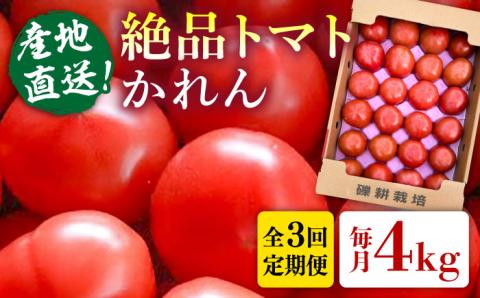【先行受付】【全3回定期便】糸島産 絶品トマト かれん (4kg28玉前後) 【2025年12月上旬以降順次発送】糸島市 / シーブ 野菜 とまと 大玉トマト [AHC066]
