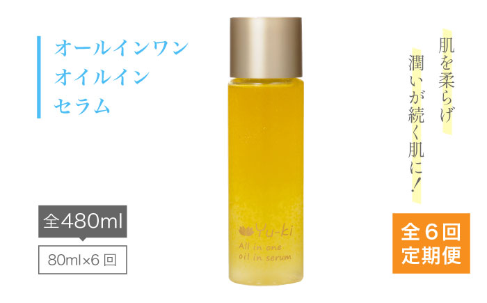 【全6回定期便】オールインワンオイルインセラム [AHJ009]